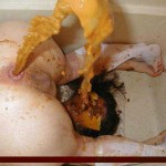 Tubgirl 150x150 Chronicle.SU a Tremendous Success