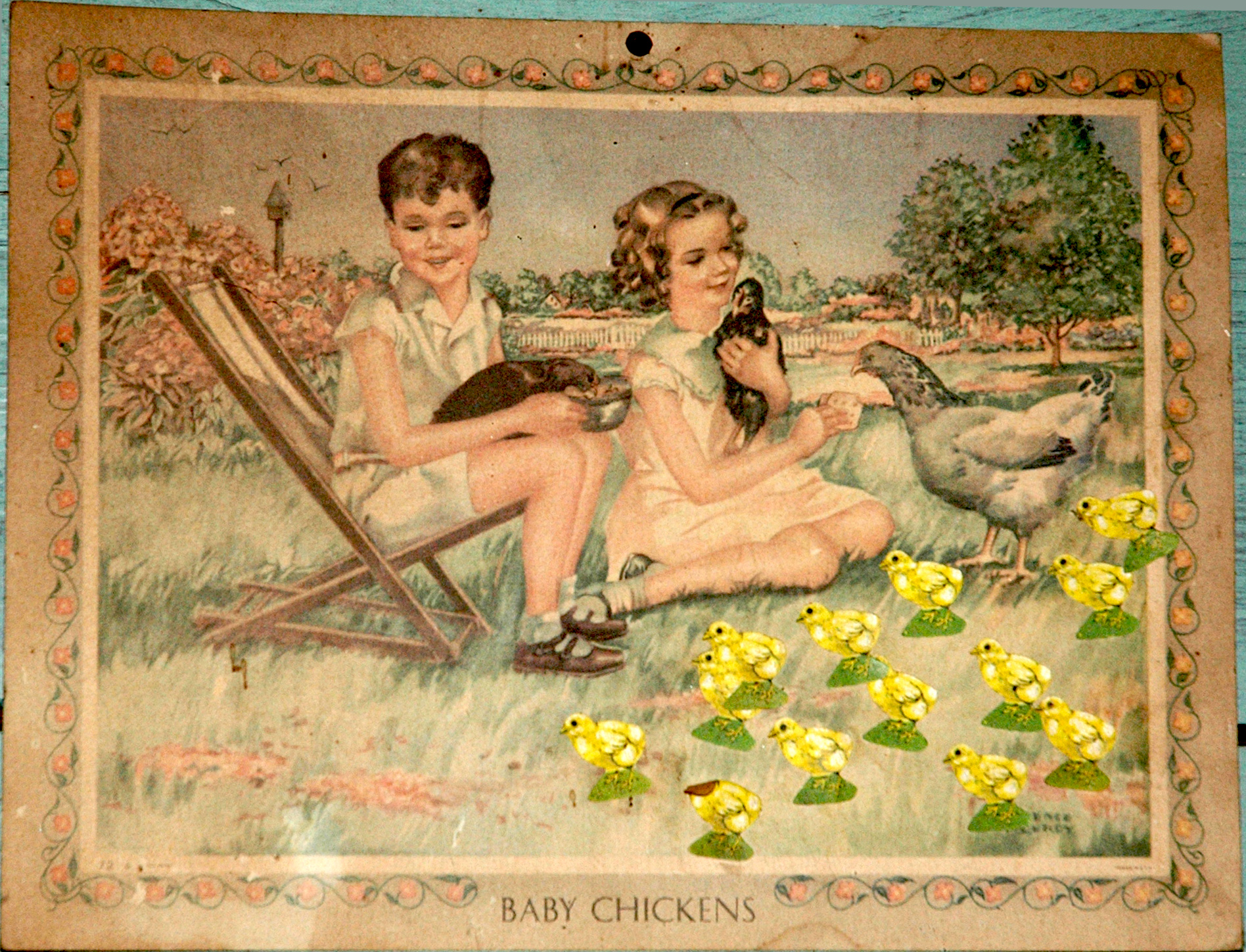 baby-chickens baby chickens The Lebal Drocer, Incorporated