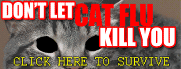 Swine Flu in Cats
