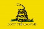 Armed militia groups have assembled in public spaces around the nation in response to totalitarian government surveillance.