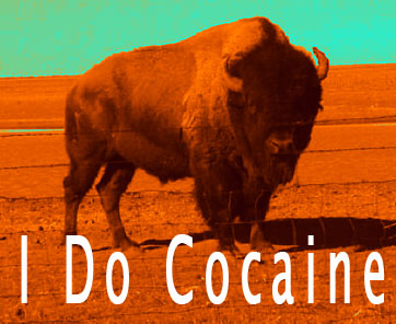 bison does cocaine