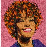 small whitney houston pills 150x150 Current events protester has no idea what hes protesting