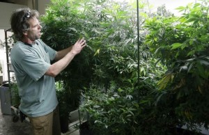 String of heists threatens Marijuana shops in Colorado usa marijuana colorado 300x194 String of heists threatens Marijuana shops in Colorado
